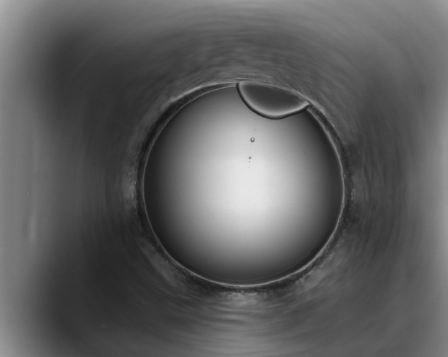 X0000090711499200707201206