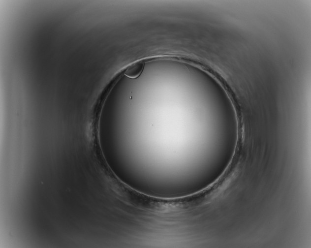 X0000090711501200707201206