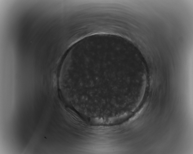 X0000090711505200707201206