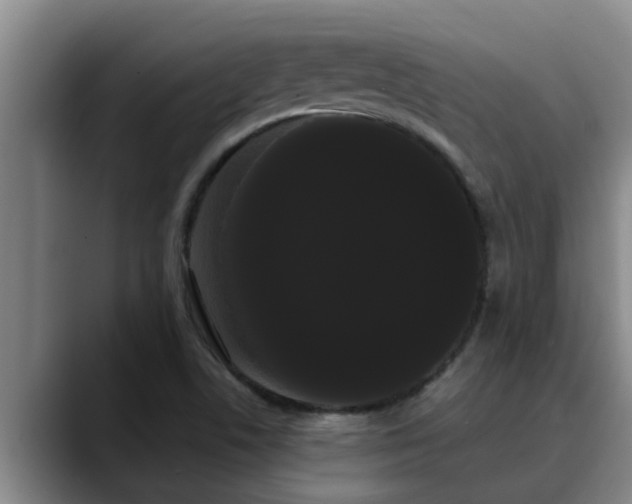 X0000090711506200707201206