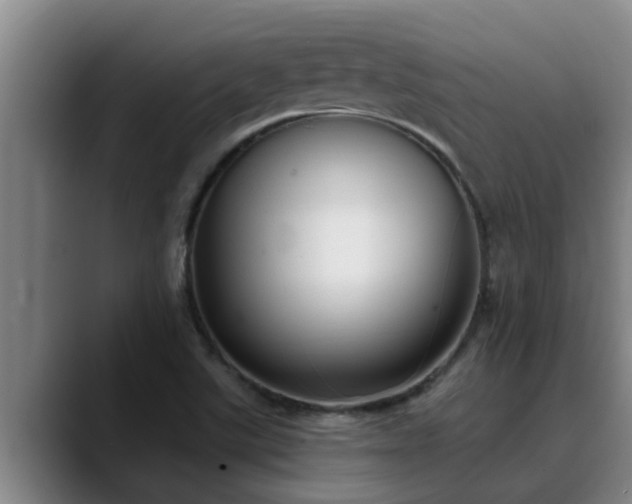 X0000090711507200707201206