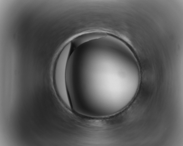 X0000090711508200707201206