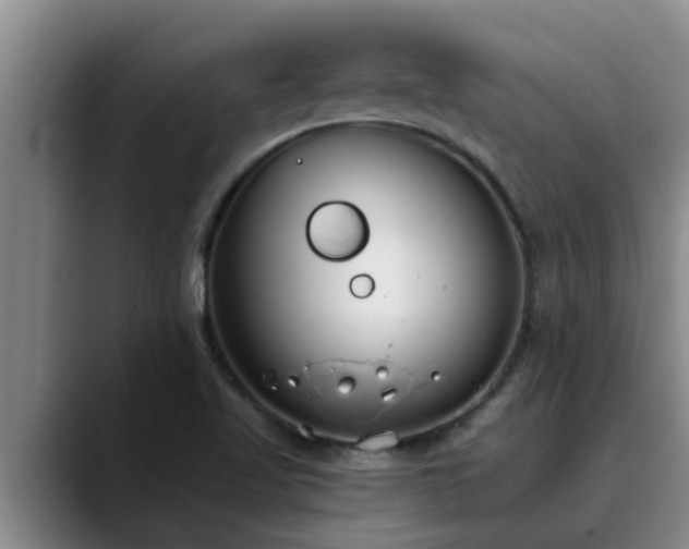 X0000090711509200707201206