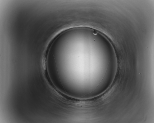 X0000090711510200707201206