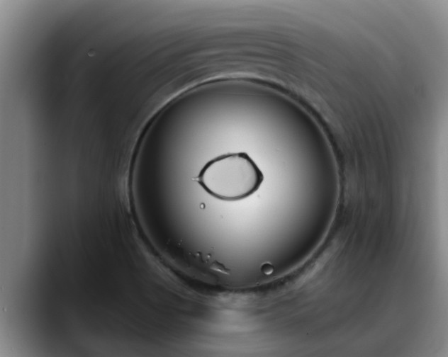 X0000090711513200707201206