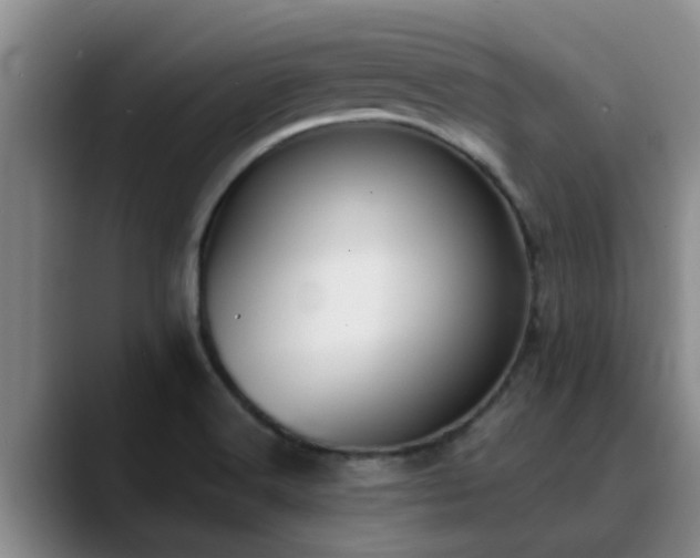 X0000090711516200707201206