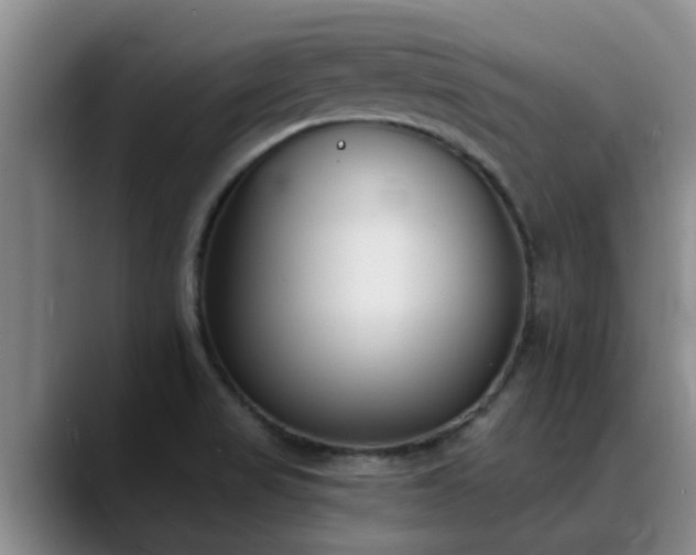 X0000090711517200707201206