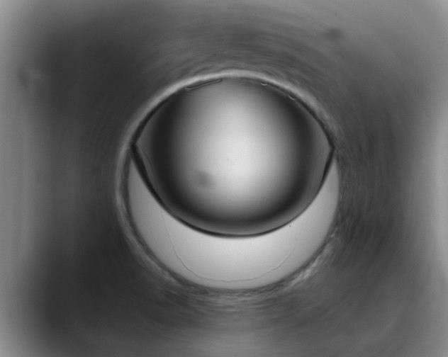 X0000090711518200707201206