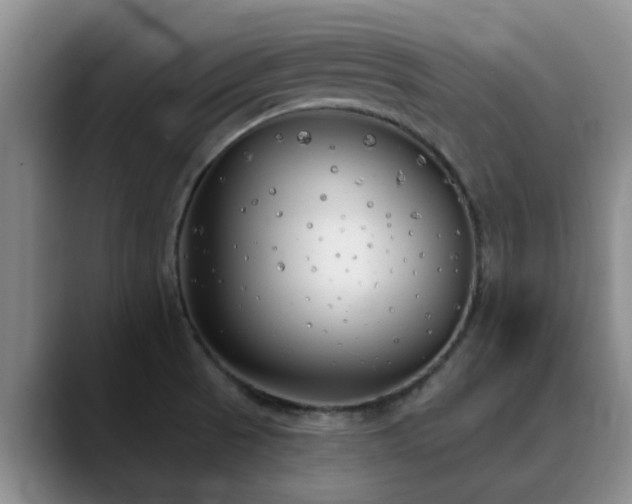 X0000090711521200707201206