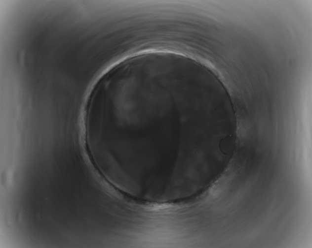 X0000090711522200707201206