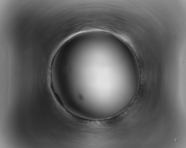 X0000090711524200707201206