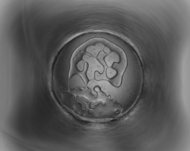 X0000090711525200707201206