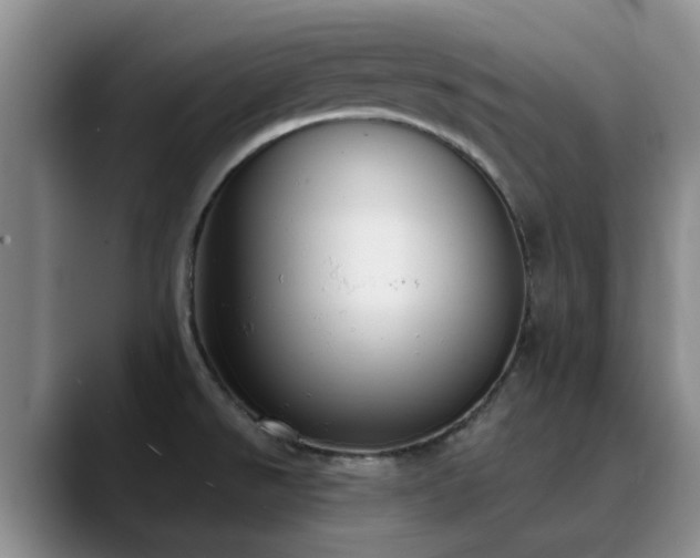 X0000090711526200707201206