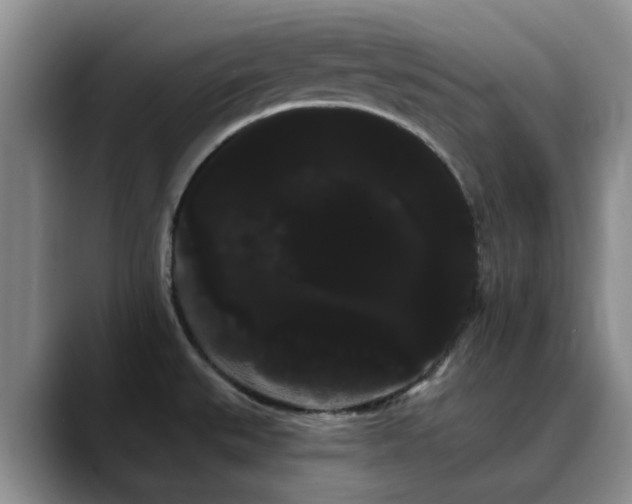 X0000090711527200707201206