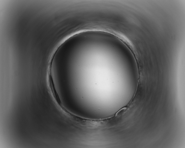 X0000090711528200707201206