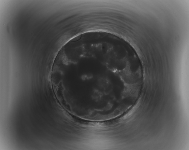 X0000090711529200707201206