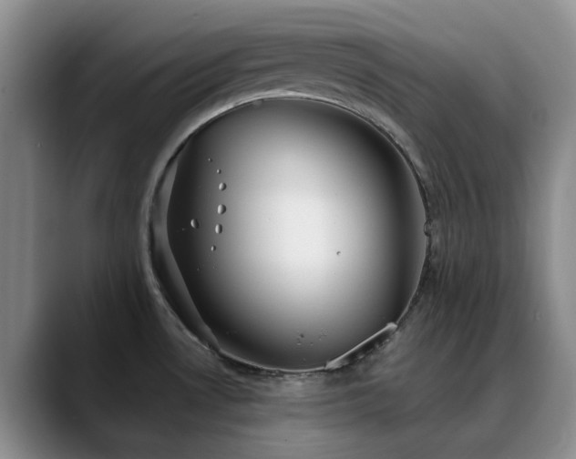 X0000090711530200707201206