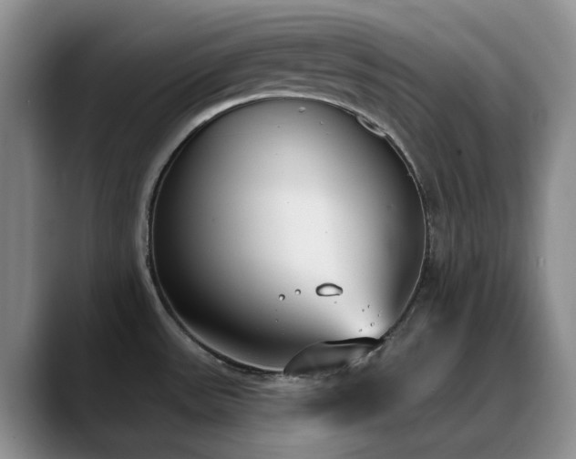 X0000090711531200707201206