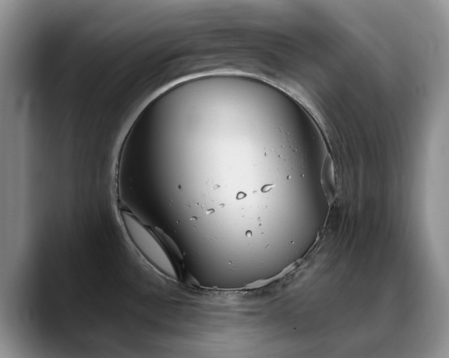 X0000090711532200707201206