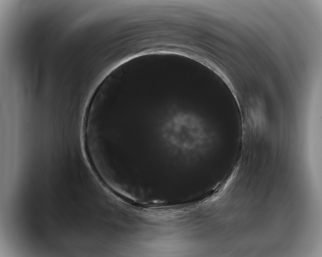 X0000090711533200707201206