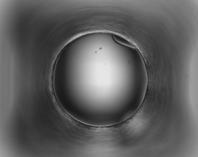 X0000090711534200707201206