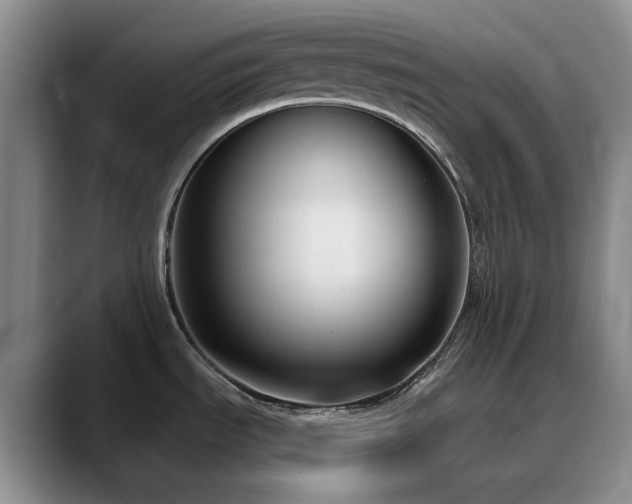 X0000090711535200707201206