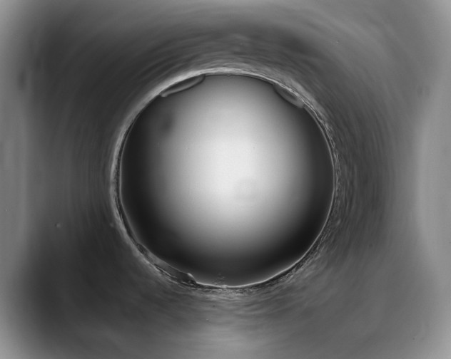 X0000090711536200707201206