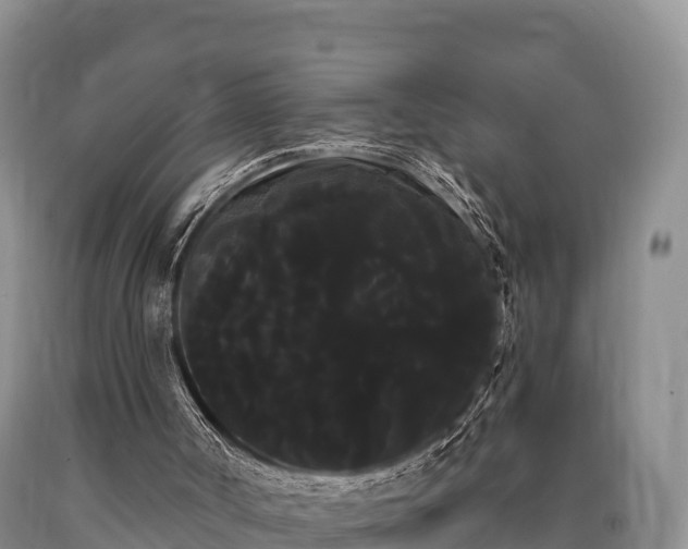 X0000090710002200707271141