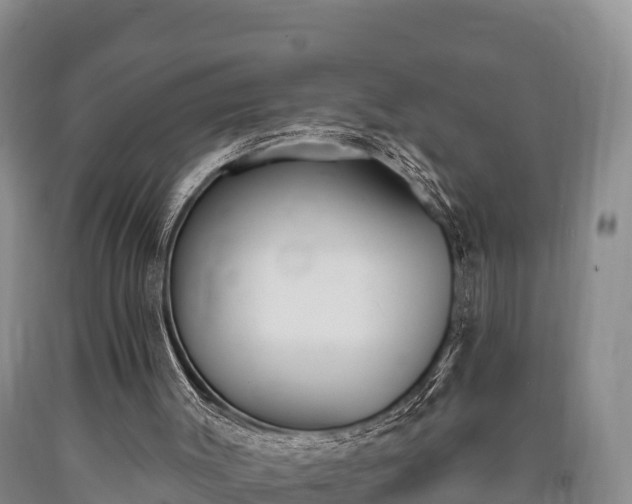 X0000090710003200707271141