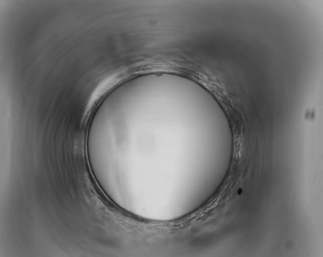 X0000090710004200707271141