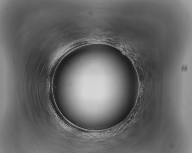 X0000090710005200707271141