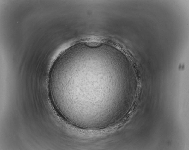 X0000090710006200707271141