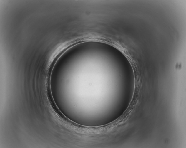 X0000090710007200707271141