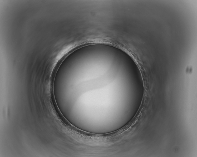 X0000090710008200707271141