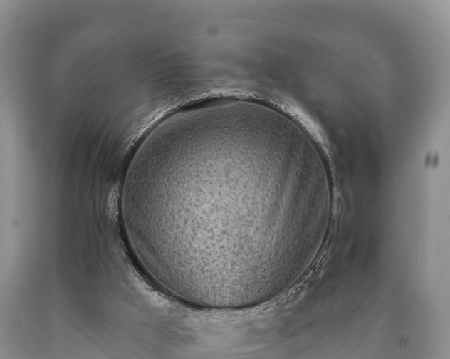 X0000090710009200707271141