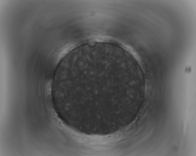 X0000090710010200707271141