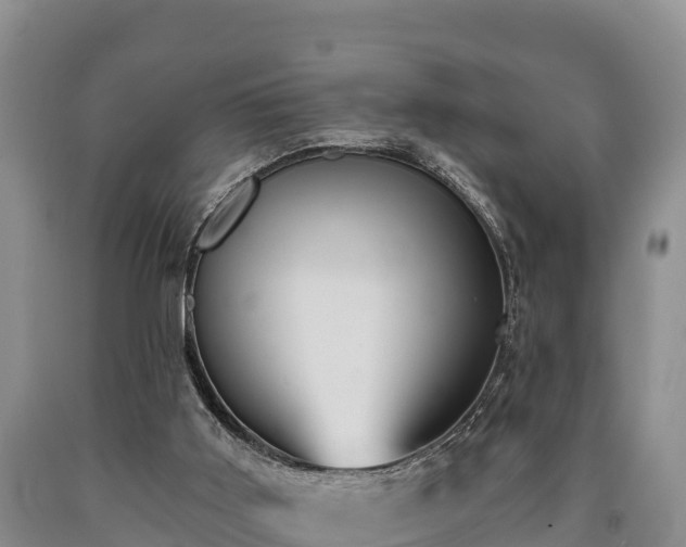 X0000090710011200707271141