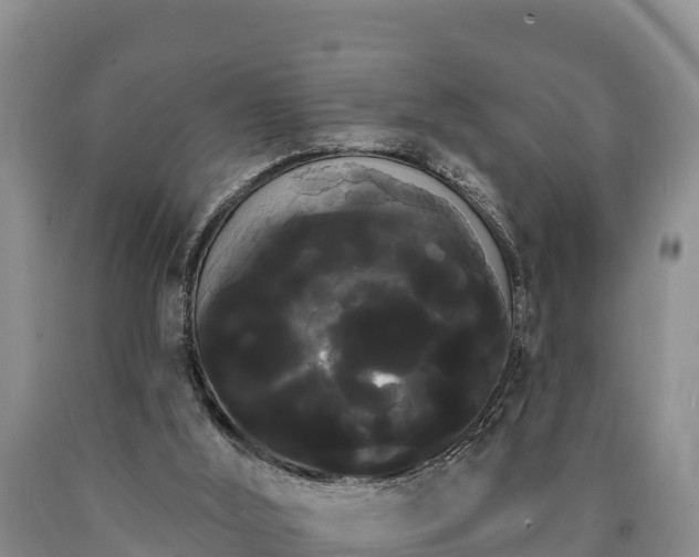 X0000090710012200707271141