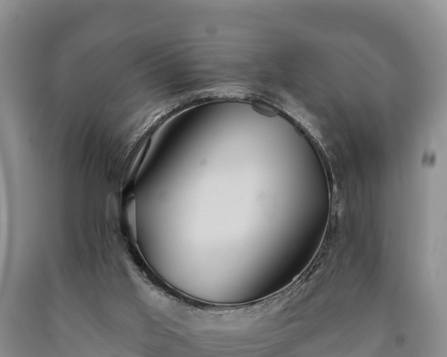 X0000090710013200707271141