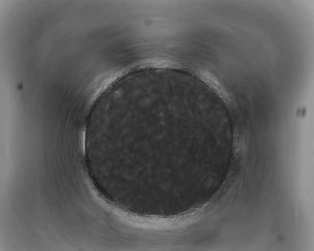 X0000090710014200707271141