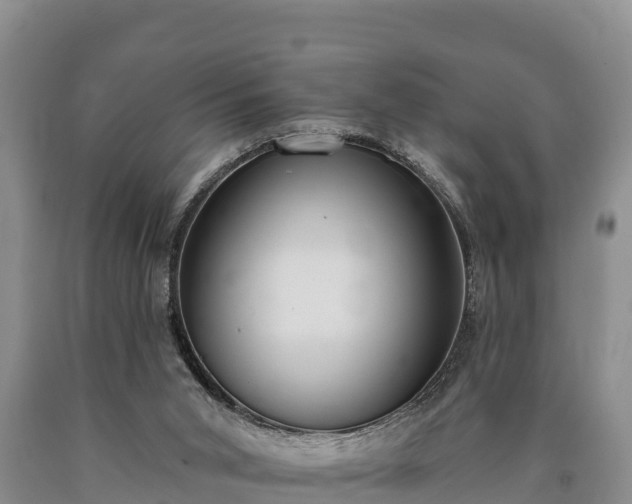 X0000090710015200707271141