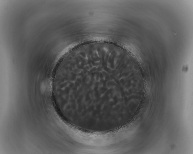 X0000090710016200707271141