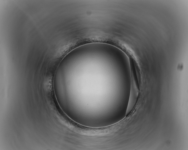 X0000090710017200707271141