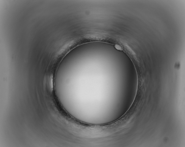 X0000090710020200707271141