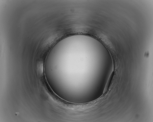 X0000090710021200707271141