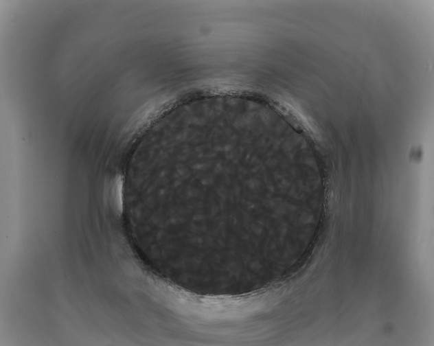 X0000090710022200707271141