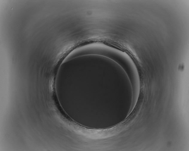 X0000090710023200707271141