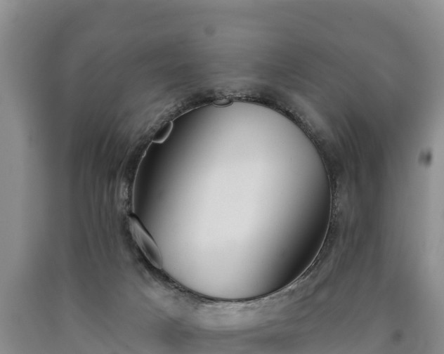 X0000090710025200707271140