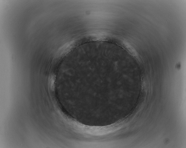 X0000090710026200707271140