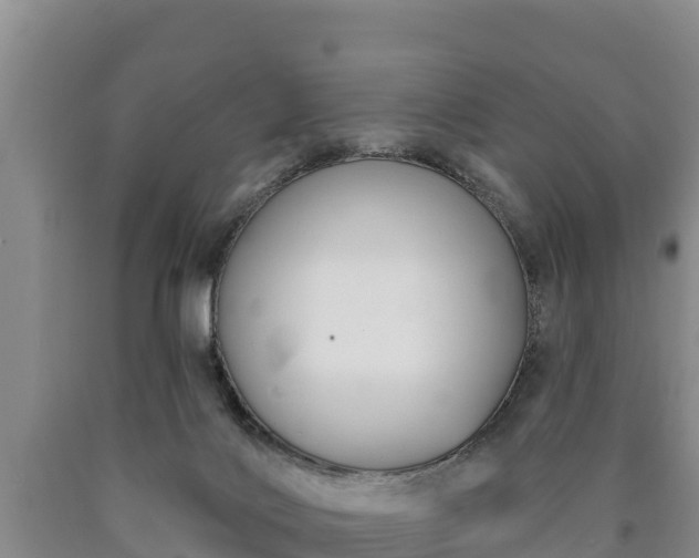 X0000090710028200707271140